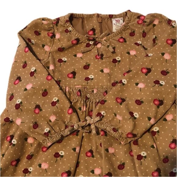 Baby Gap Girls Corduroy Dress Brown Flowers White Polka Dots Size 4Y or 4T - Picture 3 of 15